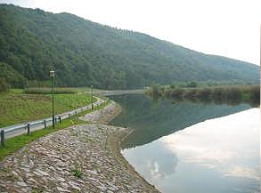 Bukovnik