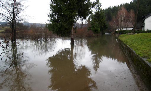 Izašla Đula - 24.12.2009. Izašla Đula - 24.12.2009.