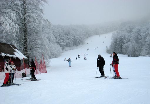 Bjelolasica siječanj 2010.