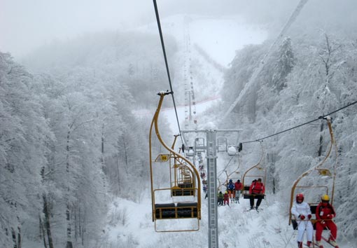 Bjelolasica siječanj 2010.