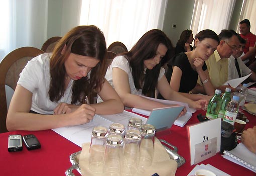 Odluke i zaključci 8. sjednice Gradskog vijeća Grada Ogulina održane 11. lipnja 2010. Odluke i zaključci 8. sjednice Gradskog vijeća Grada Ogulina održane 11. lipnja 2010.