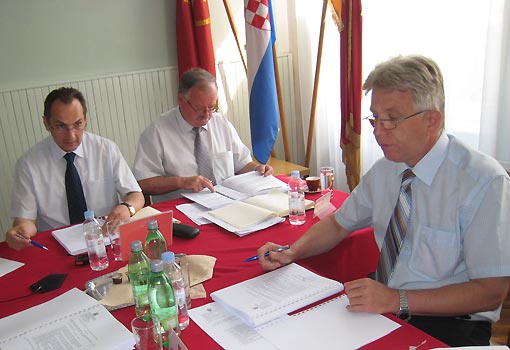 Odluke i zaključci 8. sjednice Gradskog vijeća Grada Ogulina održane 11. lipnja 2010. Odluke i zaključci 8. sjednice Gradskog vijeća Grada Ogulina održane 11. lipnja 2010.