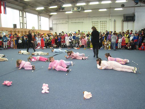 Male mačkare - 2010