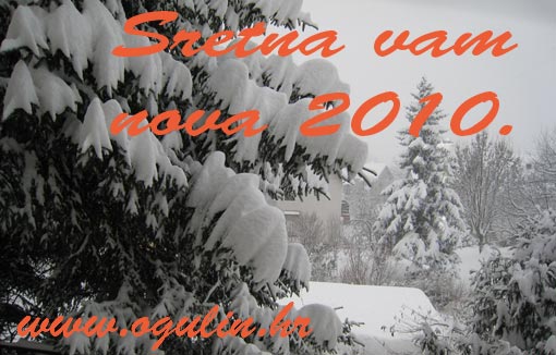 Sretna nova 2010.