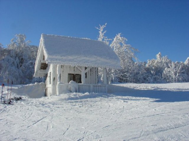 bjelolasica06011-6