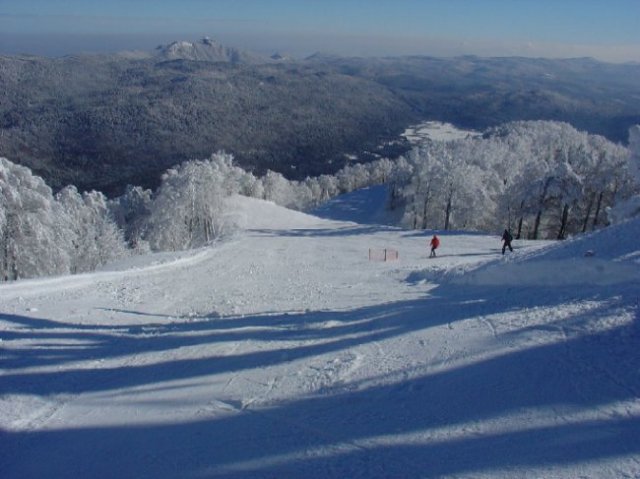 bjelolasica060110-3