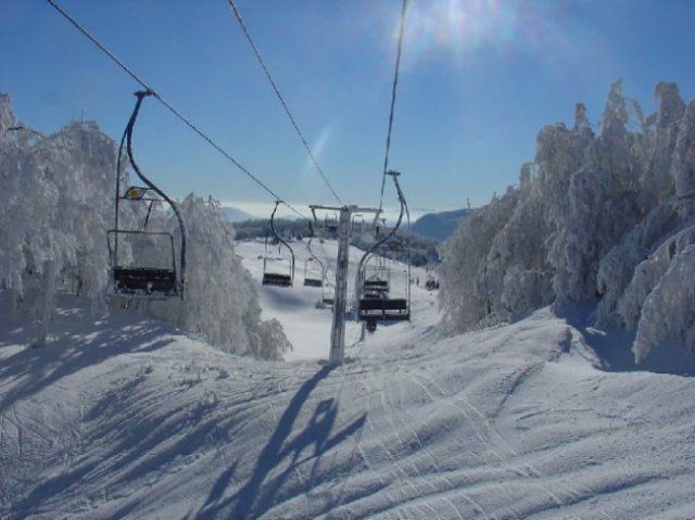 bjelolasica060110-5