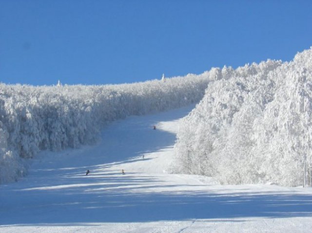 bjelolasica060110-7