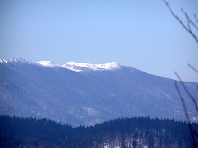 bjelolasica060212a