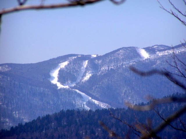 bjelolasica060212b