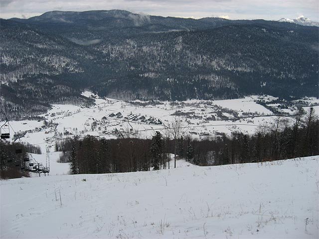 bjelolasica2