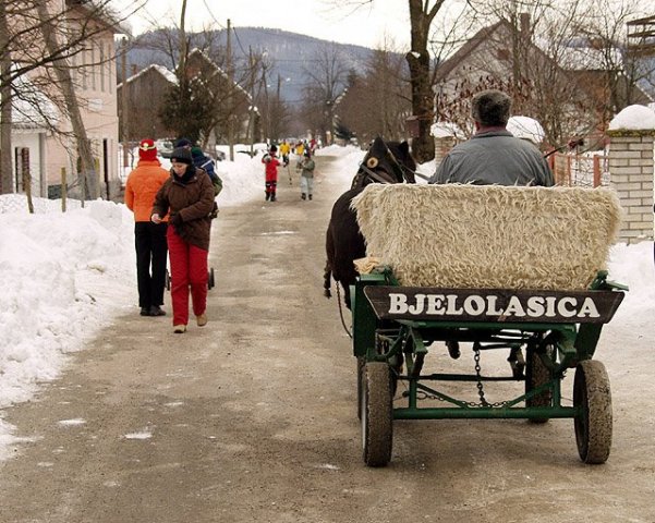 bjelolasica3
