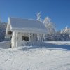 bjelolasica06011-6