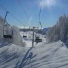 bjelolasica060110-5