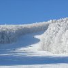 bjelolasica060110-7