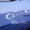 bjelolasica060212b