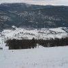 bjelolasica2