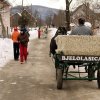 bjelolasica3