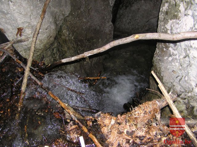 salamon090414a