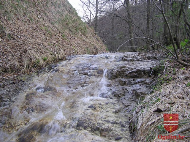 salamon090414d