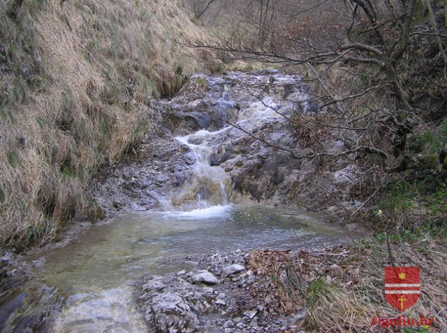 salamon090414e