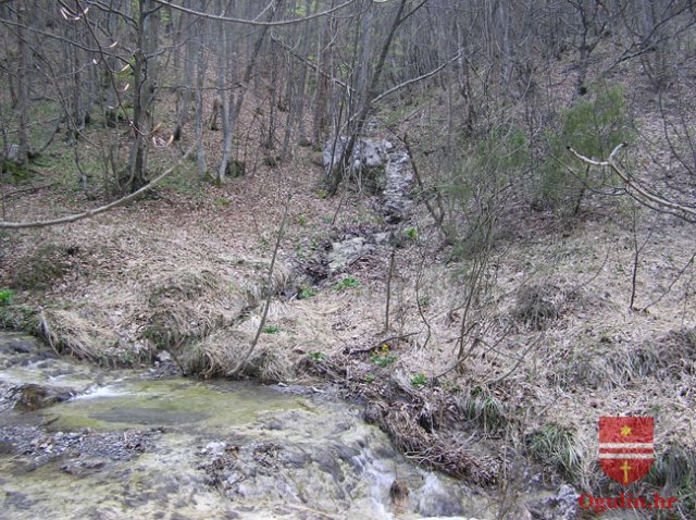salamon090414f