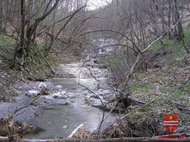 salamon090414h