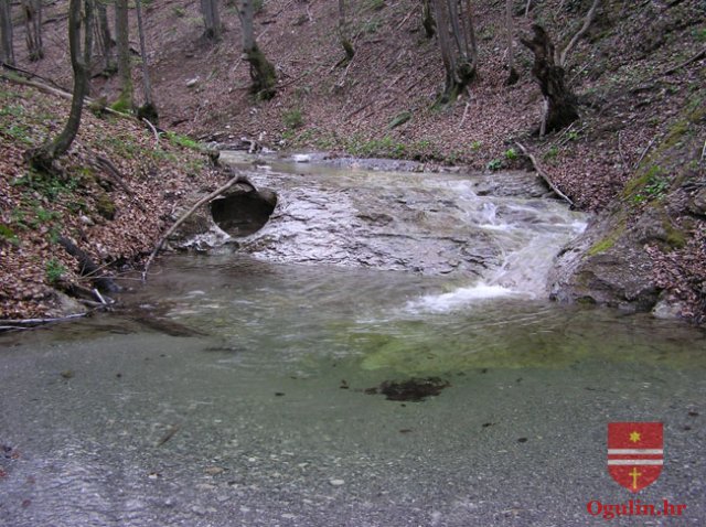 salamon090414i