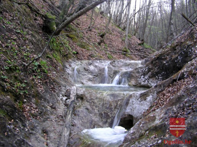salamon090414j