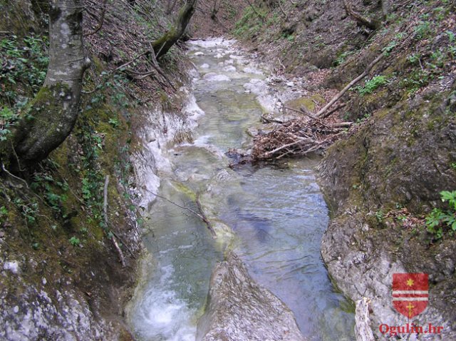 salamon090414l