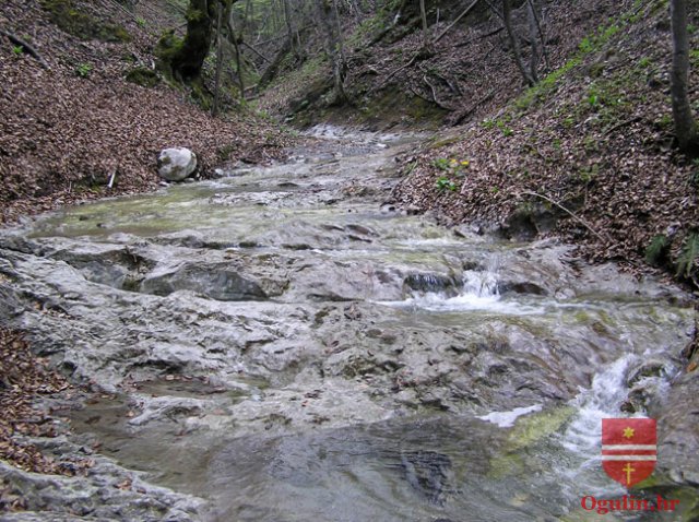 salamon090414n