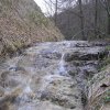 salamon090414d