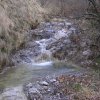 salamon090414e