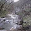 salamon090414h