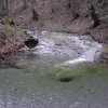 salamon090414i