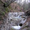 salamon090414j