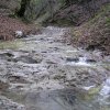 salamon090414n
