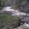 salamon090414p