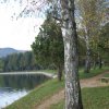 sabljaci0610b