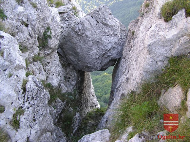 hrvojesalamon0810e