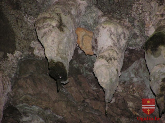 salamon09e