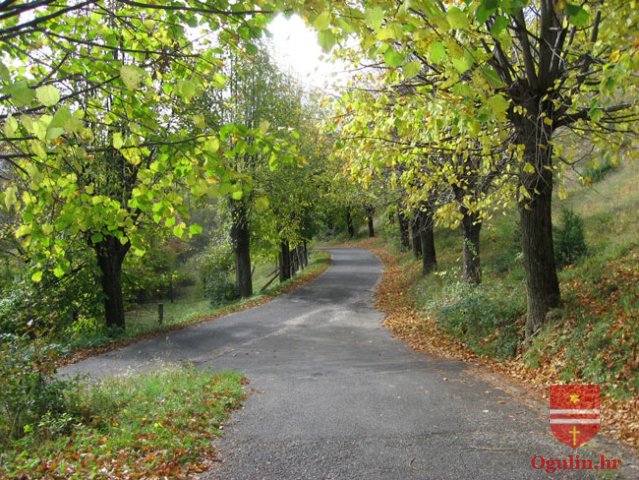 modrus7
