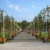 park09c