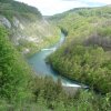 dobra050426b