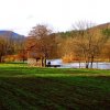 puskarici