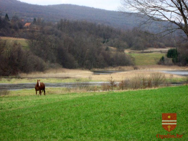 zagmreznica6
