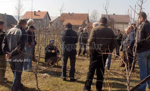 Održana demonstracija rezidbe kruške Održana demonstracija rezidbe kruške