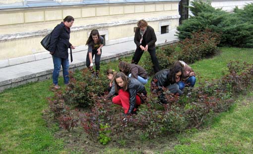 I u Ogulinu uspješno provedena akcija "Zelena čistka 2012"