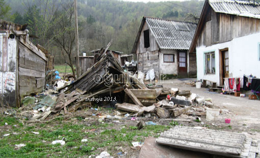 Zelena čistka 2013