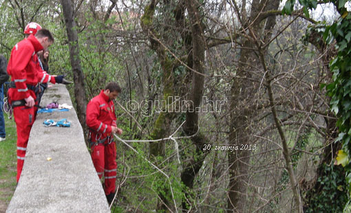 Zelena čistka 2013